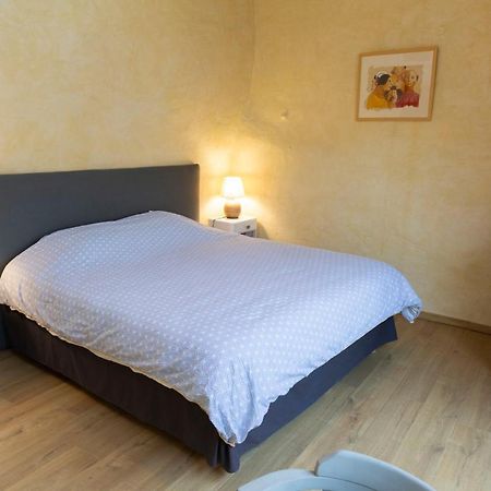 Chambre Independante A Carcassonne Eksteriør billede